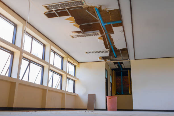 Best Basement water damage restoration  in Naranja, FL