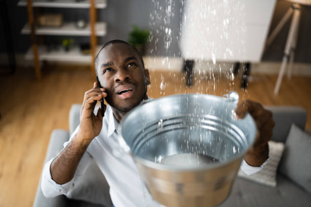 Best Water damage contractors near me  in Naranja, FL