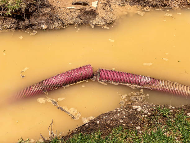 Best Flood restoration services  in Naranja, FL
