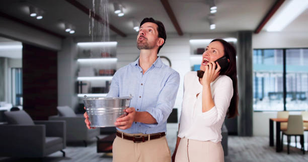 Best Water damage cleanup near me  in Naranja, FL